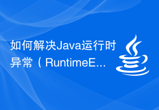 How to solve Java runtime exception (RuntimeException) problem