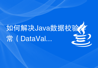 Java データ検証例外 (DataValidationException) を解決する方法