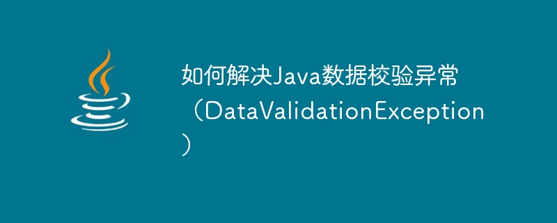 So lösen Sie eine Java-Datenvalidierungsausnahme (DataValidationException)