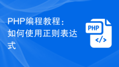PHP程式設計教學:如何使用正規表示式