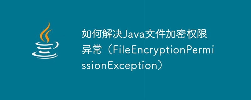 Java 파일 암호화 권한 예외를 해결하는 방법(FileEncryptionPermissionException)