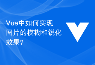 Vue에서 이미지의 흐림 및 선명 효과를 얻는 방법은 무엇입니까?