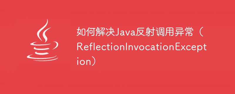 Java リフレクション呼び出し例外 (ReflectionInvocationException) を解決する方法