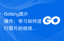 Golang图片操作：学习如何进行图片的缩放和旋转