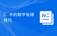 C++中的数字处理技巧