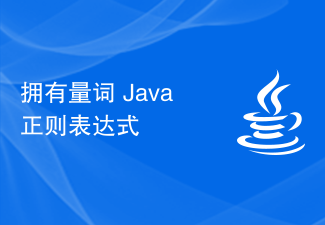 擁有量詞 Java 正規表示式