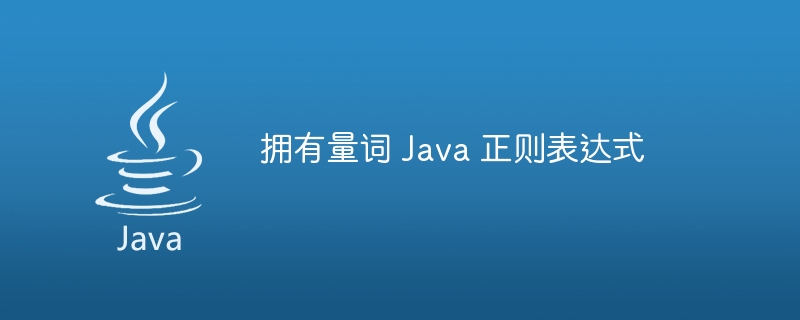 拥有量词 Java 正则表达式