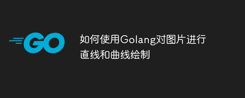 Golang을 사용하여 사진에 직선과 곡선을 그리는 방법