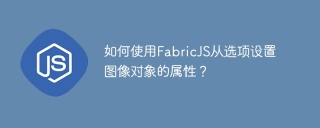 如何使用FabricJS從選項設定影像物件的屬性?