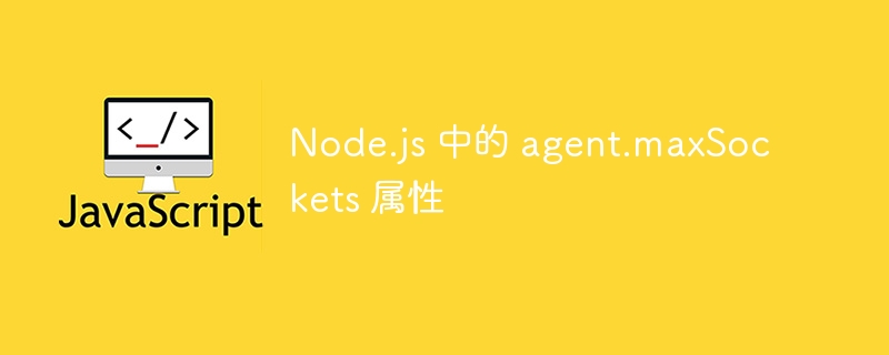 Node.js 中的 agent.maxSockets 属性