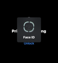 2023年指南:如何在 iPhone Safari 上关闭隐私浏览模式