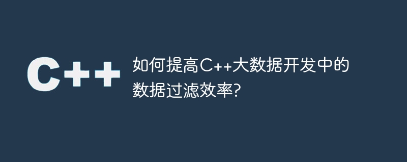 C++ 빅데이터 개발에서 데이터 필터링 효율성을 향상시키는 방법은 무엇입니까?