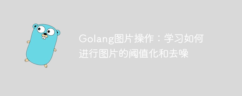 Golang 이미지 조작: 이미지를 임계값으로 설정하고 노이즈를 제거하는 방법 알아보기