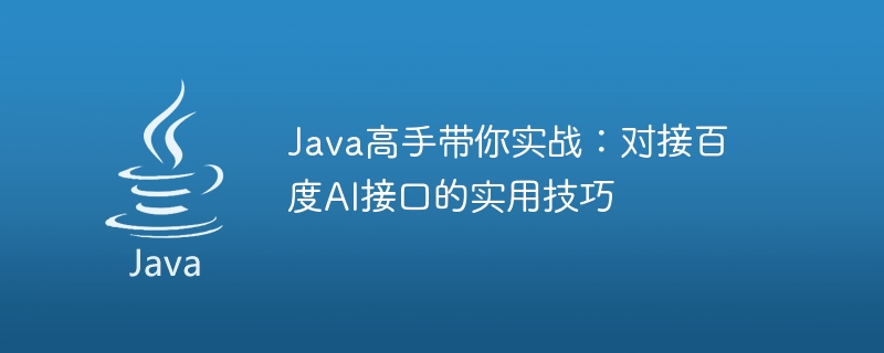 Java-Experten bringen Sie in die Praxis: praktische Fähigkeiten zum Andocken der Baidu AI-Schnittstelle