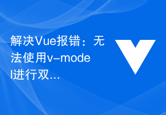 Solve Vue error: Unable to use v-model for two-way data binding
