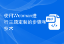 使用Webman进行主题定制的步骤和技术