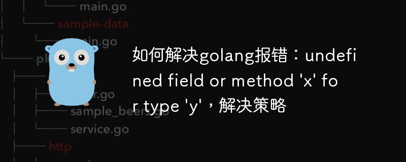 如何解决golang报错：undefined field or method 'x' for type 'y'，解决策略