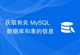 获取有关 MySQL 数据库和表的信息