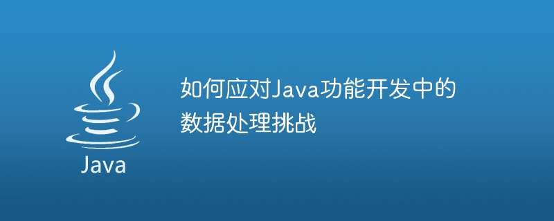 Java 機能開発におけるデータ処理の課題に対処する方法