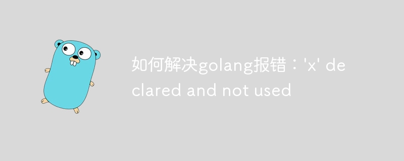 如何解决golang报错：'x' declared and not used