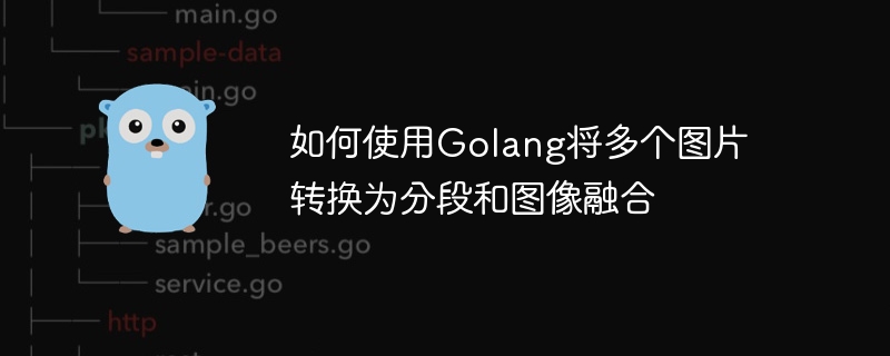 Bagaimana untuk menukar berbilang gambar kepada segmentasi dan gabungan imej menggunakan Golang