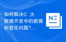 如何解决C++大数据开发中的数据标签化问题?