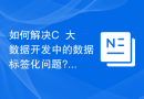 如何解决C++大数据开发中的数据标签化问题?