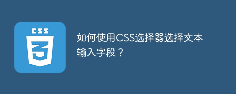 如何使用CSS選擇器選擇文字輸入欄位？