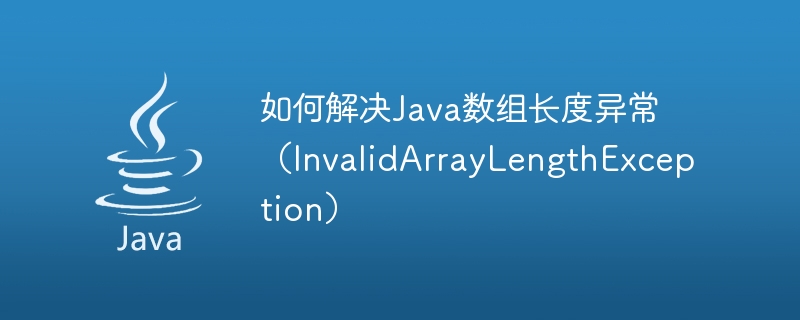 How to solve Java array length exception (InvalidArrayLengthException)