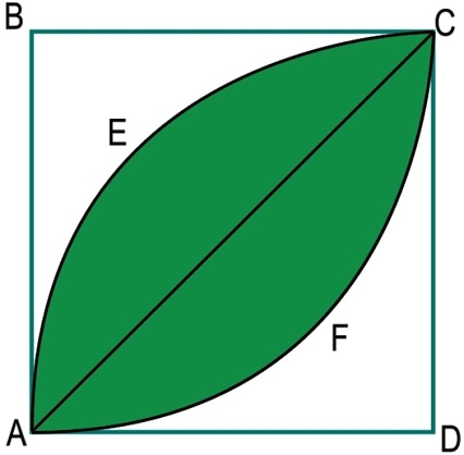 Wie groß ist die Fläche eines Blattes innerhalb eines Quadrats?