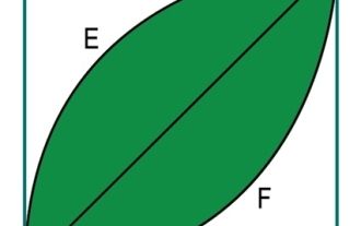 정사각형 안에 나뭇잎의 면적은 얼마입니까?