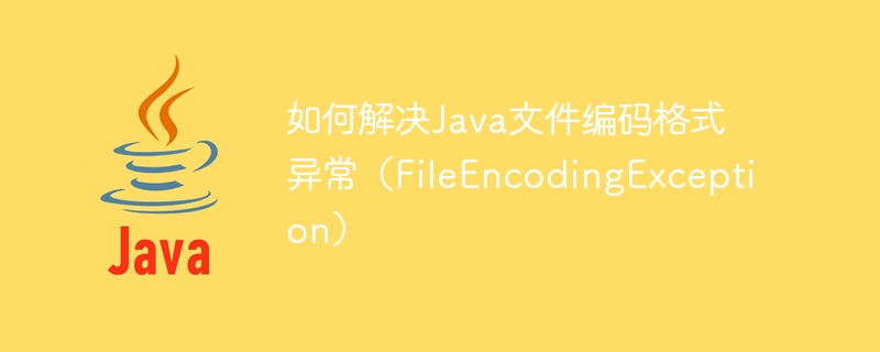 How to solve Java file encoding format exception (FileEncodingException)