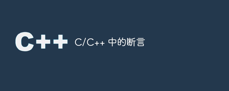C/C++ 中的断言
