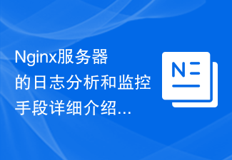 Nginx服务器的日志分析和监控手段详细介绍
