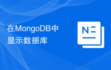 在MongoDB中显示数据库