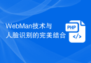 WebMan技术与人脸识别的完美结合