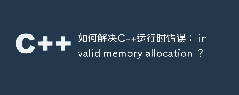 如何解决C++运行时错误：'invalid memory allocation'？