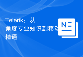 Telerik：从角度专业知识到移动精通