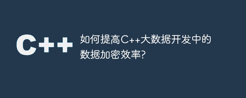 C++ 빅데이터 개발에서 데이터 암호화 효율성을 향상시키는 방법은 무엇입니까?