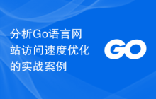 分析Go语言网站访问速度优化的实战案例