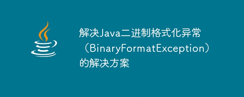 Lösung zur Lösung der Java-Binärformat-Ausnahme (BinaryFormatException)