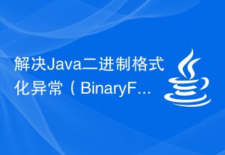 Solution to solve Java binary format exception (BinaryFormatException)