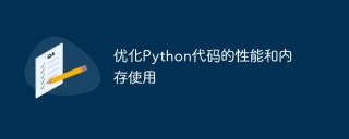 优化python代码的性能和内存使用