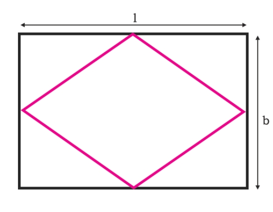 Ist es möglich, in einem C-Programm eine Funktion zu schreiben, die die Fläche der größtmöglichen Raute berechnet, die in ein Rechteck eingeschrieben werden kann?