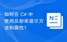 如何在 C# 中使用反射来显示方法和属性?