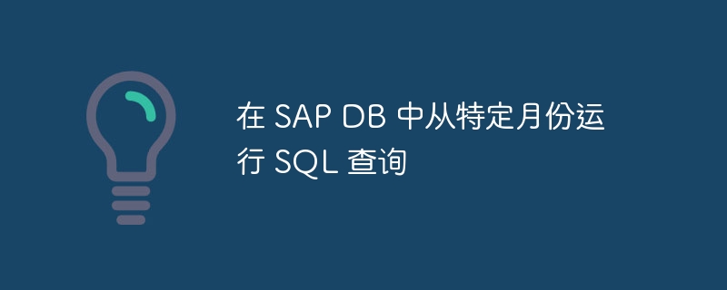 在 SAP DB 中从特定月份运行 SQL 查询