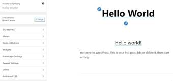 全新开始:在 WordPress 中创建空白设计的初学者指南