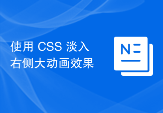 CSS를 사용하여 오른쪽의 큰 애니메이션 효과 페이드 인