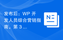 发布后：WP 开发人员综合营销指南，第 3 部分