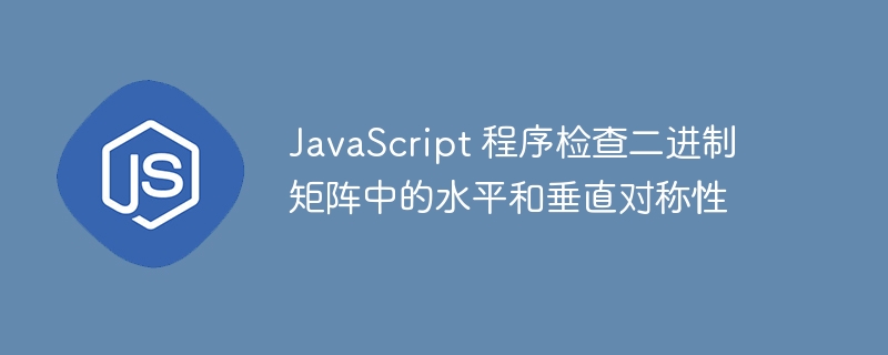 JavaScript 程序检查二进制矩阵中的水平和垂直对称性